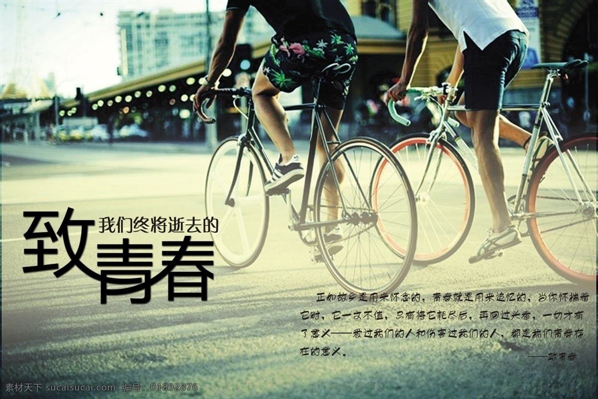 致 青春 活力 骑行 运动 致青春 自行车 海报 其他海报设计