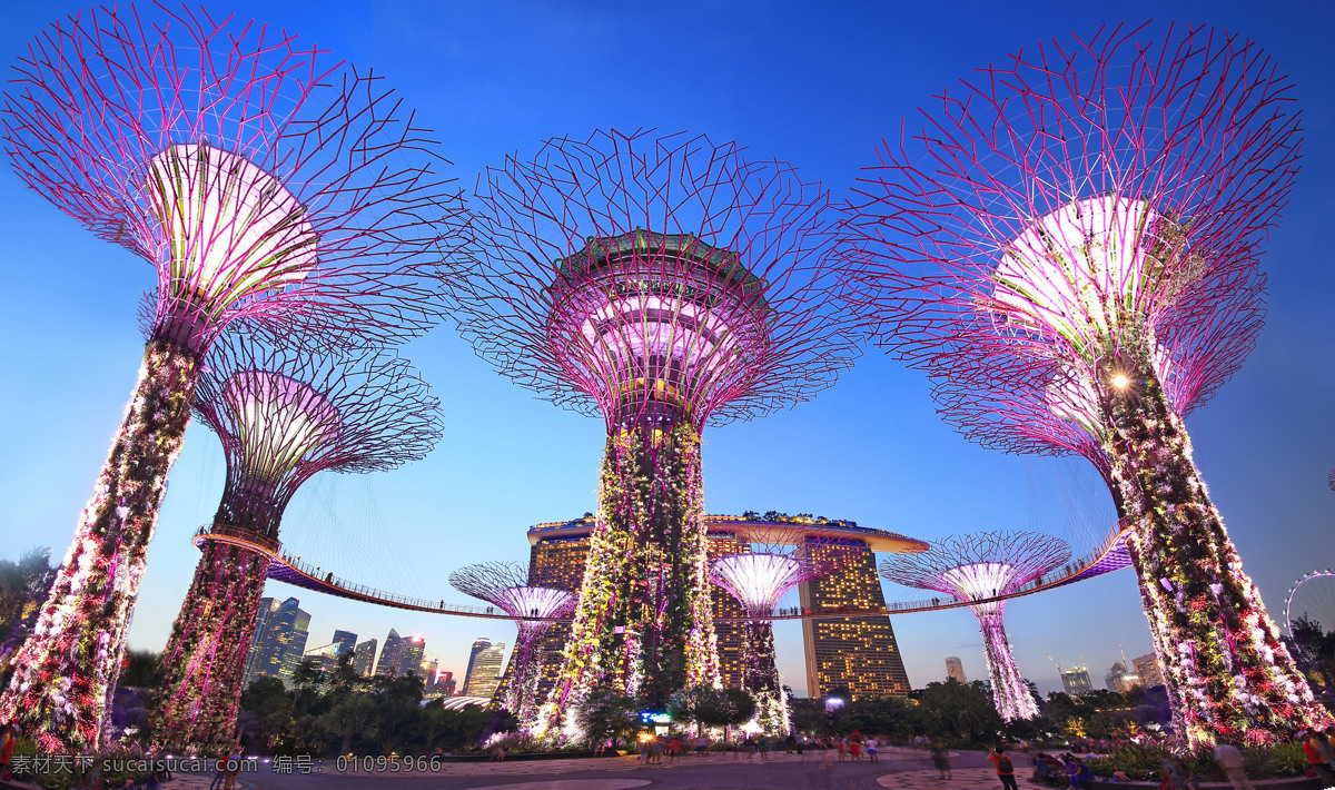 新加坡夜景 新加坡 城市夜景 火树银花 灯光 酒店 金沙酒店 滨河湾 建筑 创意建筑 城市 旅游摄影 国外旅游