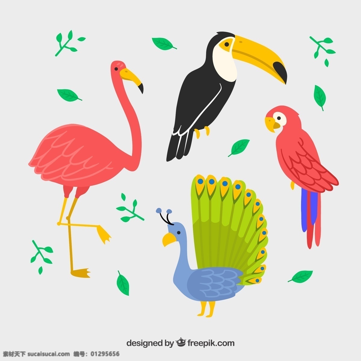 彩色 火烈鸟 鹦鹉 犀鸟 孔雀 叶子 动物 矢量 高清图片