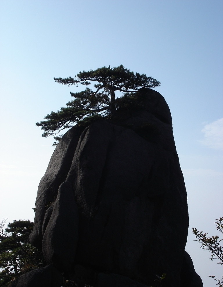 黄山风景 黄山 风景 高山 山石 迎客松 山水风景 自然景观