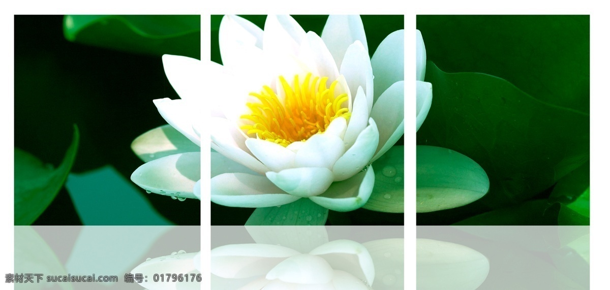 分层 白色 荷花 荷叶 无框画 无 框 画 模板下载 画素 材 源文件 情系白莲 装饰画 psd源文件