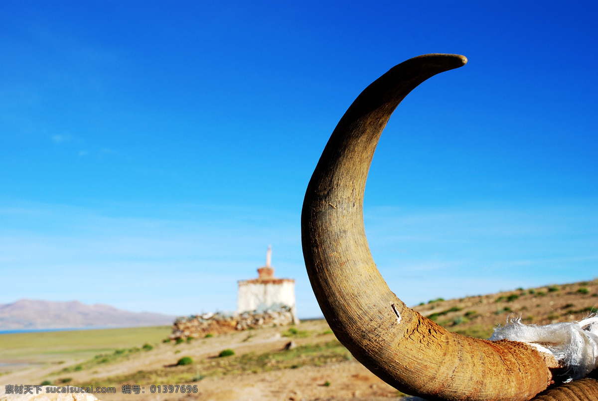 玛旁雍错 西藏 阿里 牛角 国内旅游 旅游摄影