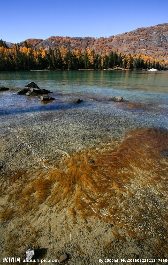 喀纳斯湖 新疆 内陆淡水湖 蓝天 高山湖泊 湖水 湖面 绿树 新疆风光 旅游景区 自助游 国内旅游 旅游摄影