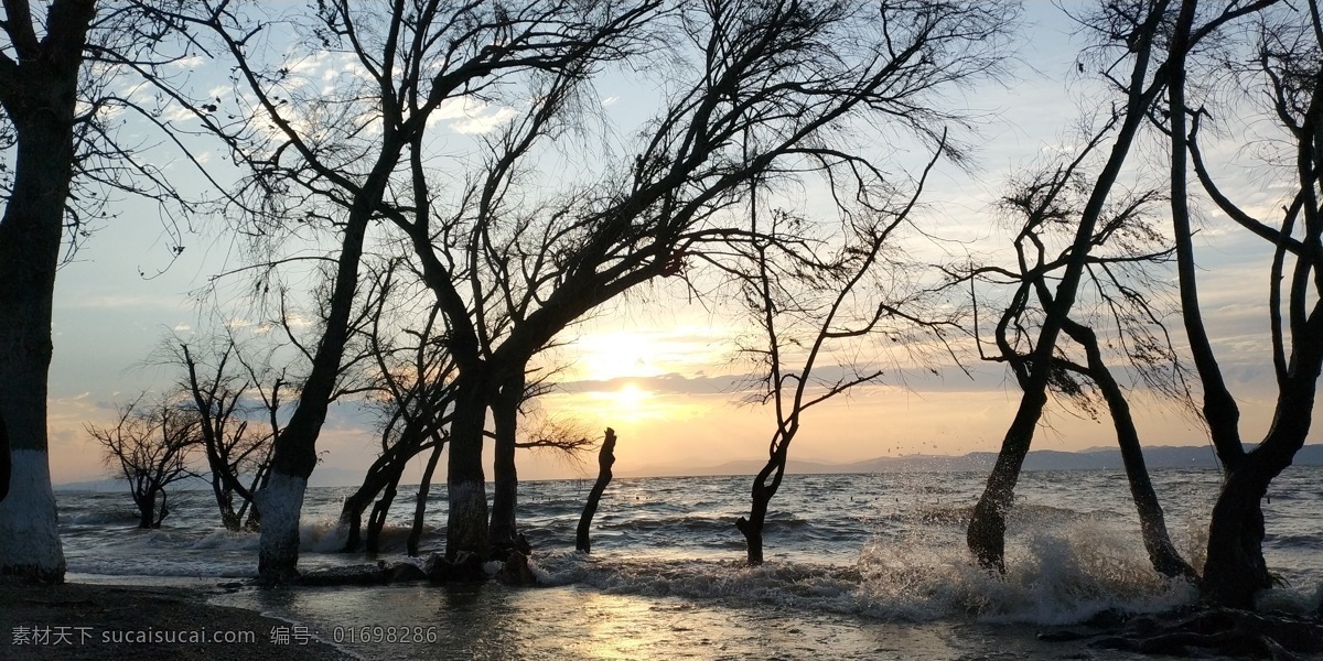 捞鱼河 剪影 云南 呈贡 夕阳 湖 浪花 树 滇池 自然景观 山水风景