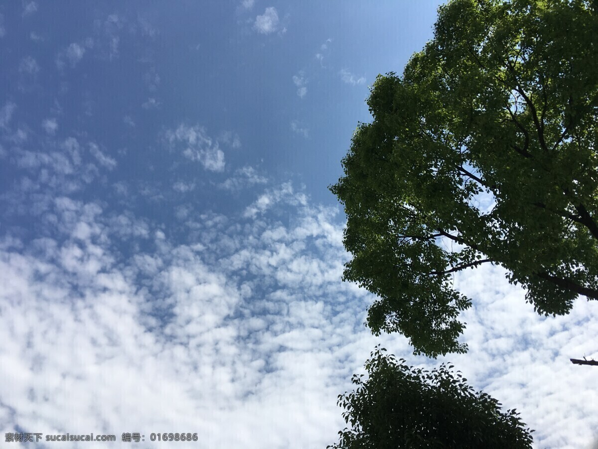 白云 云彩 天空 蓝天 晴朗 树木 绿叶 开阔 自然景观 自然风景