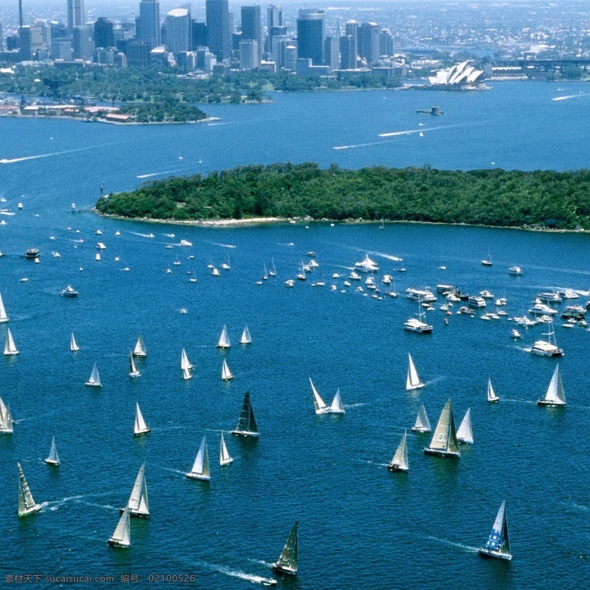 澳大利亚风景 澳大利亚 景色 城市 港口 蓝色 青色 天蓝色