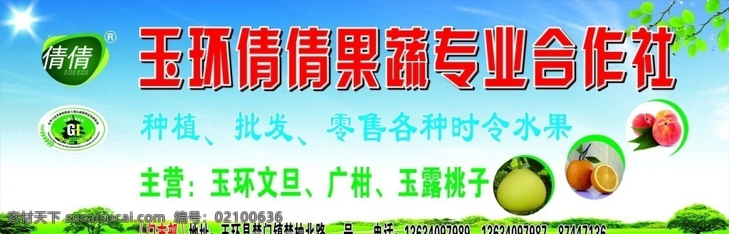 倩倩果蔬 合作社 文旦 种植 批发 零售 水果 广柑 桃子 宣传 广告牌