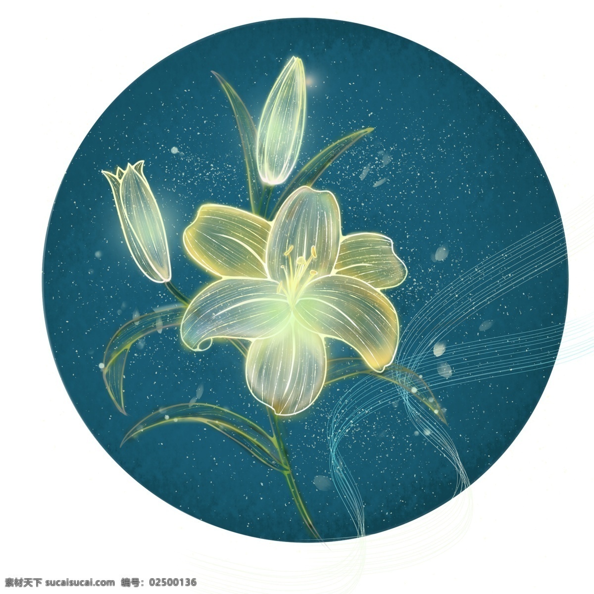 中国 风 独特 透明感 透气 百合 商用 插画 配 图 手绘 光感 夜色 鲜花 植物 叶子 绿植 背景素材 海报元素 插图 元素