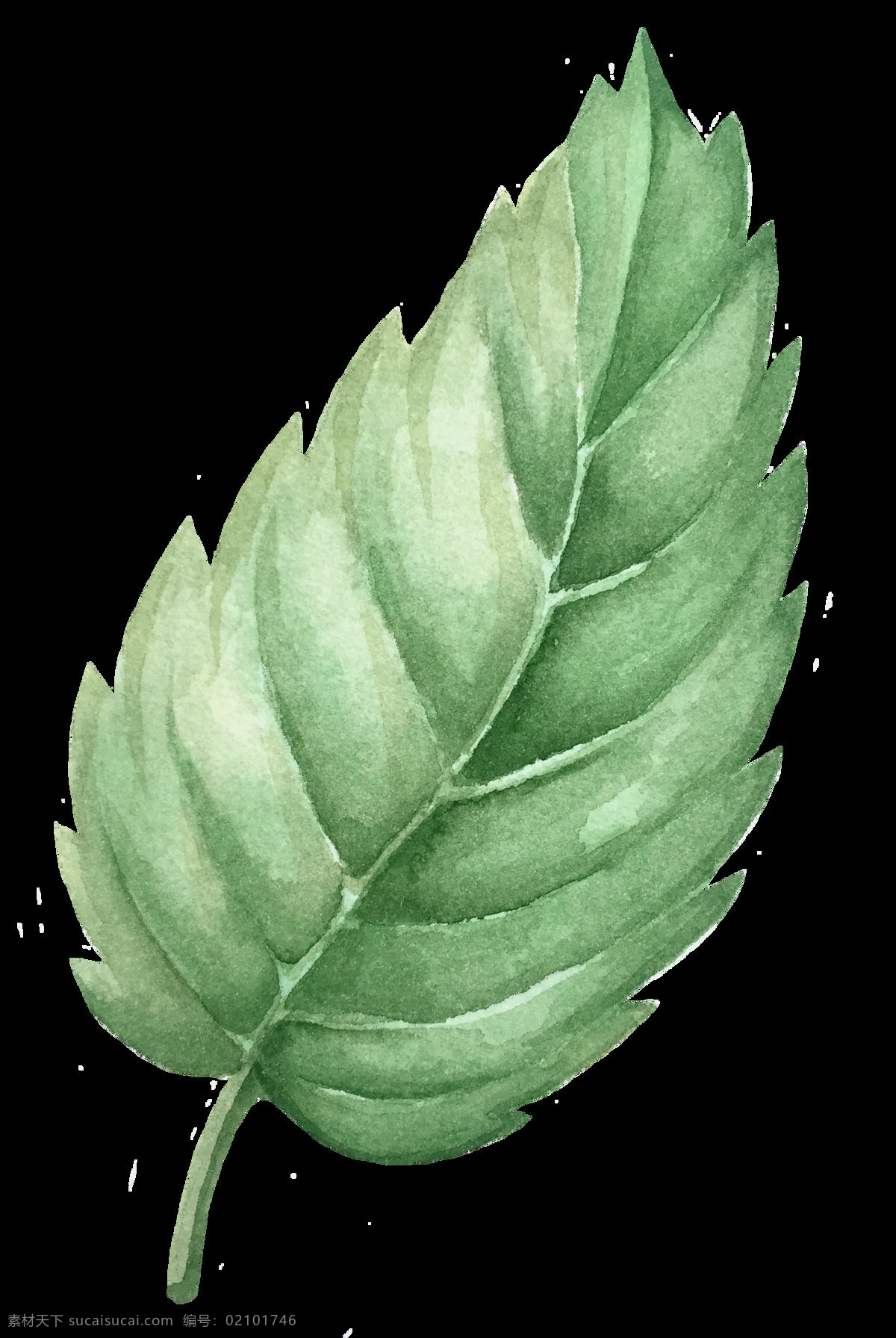 角 尖 花叶 卡通 透明 绿色 植物 透明素材 免扣素材 装饰图案