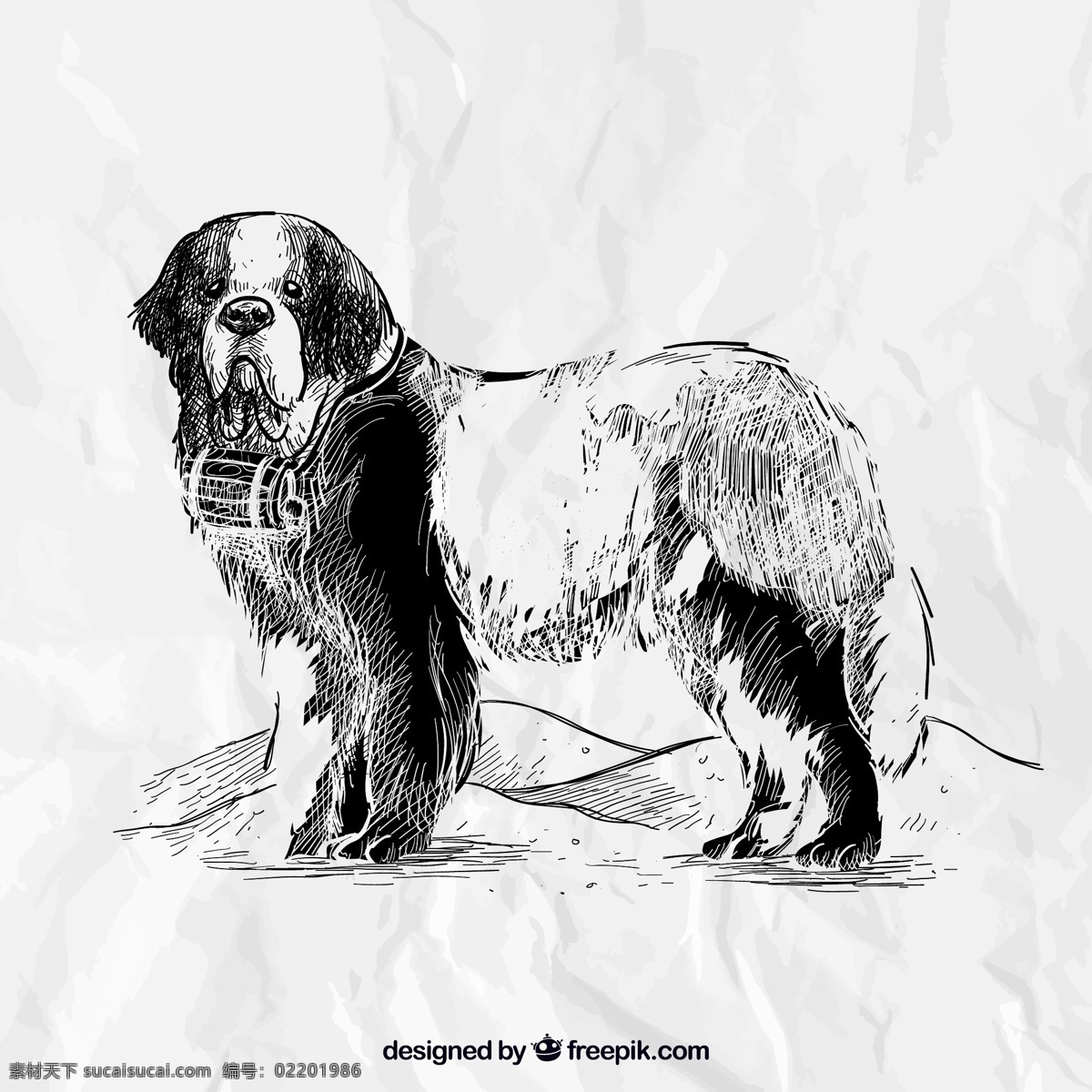 手绘 圣伯纳犬 狗 动物 名犬 宠物 插画 背景 纸张 褶皱 海报 画册 矢量动物 生物世界 家禽家畜 平面素材 白色