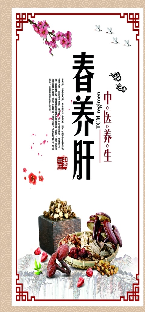 春养肝 养生 中医 中医养生 保养 展板模板