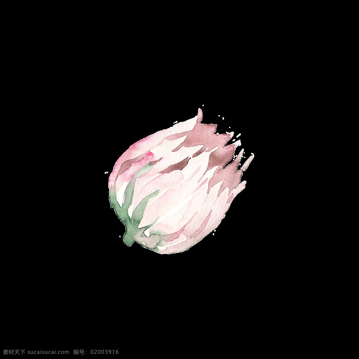创意 花朵 透明 水彩 免 扣 粉色 花瓣 花苞 渐变 绿色