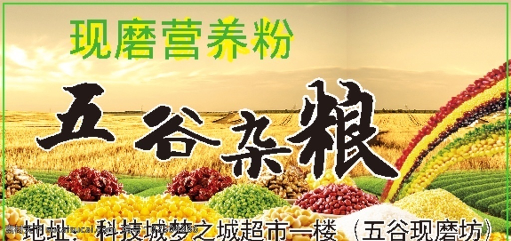 五谷杂粮 不干胶 贴纸 粮食 小麦 小米 大米 薏米