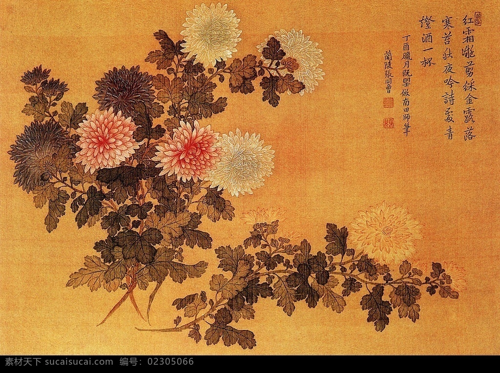 四色菊花图 中国名画 古画 文化艺术 绘画书法 设计图库