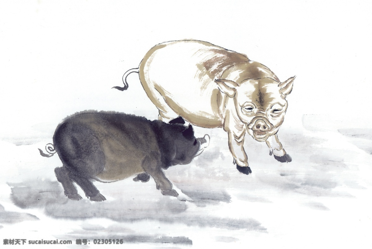 吉祥动物 动物 生肖 国画 猪 文化艺术 美术绘画 中华 吉祥 图案 设计图库 bmp