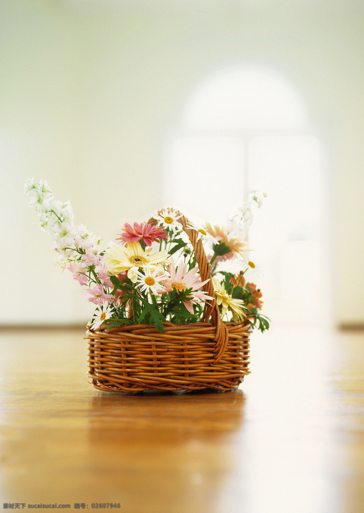 地板 上 花篮 室内摄影 静物摄影 摄影素材 淡雅 生活百科 静物 家居生活 家居 植物 室内设计 环境家居