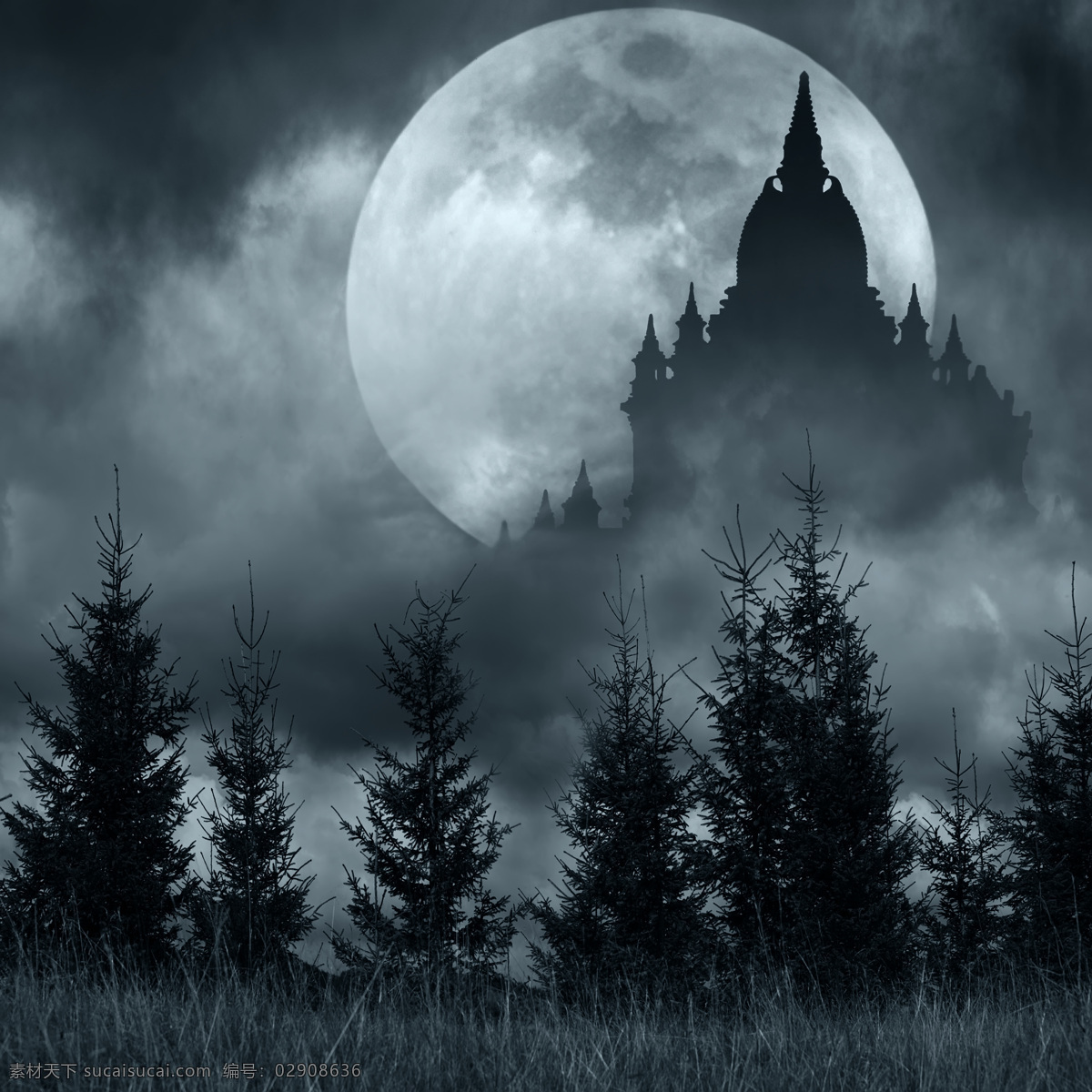 树林月亮 月亮 月亮的夜晚 天空 气氛 大气 神秘 梦 自然 光 月光 黑暗 银河 高清桌面背景 自然景观 自然风景