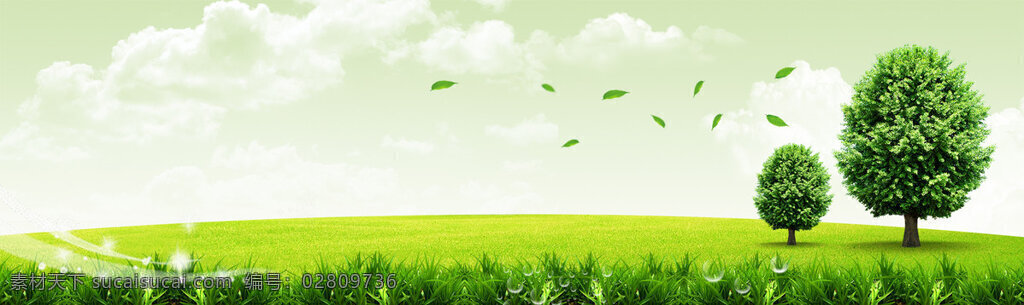 清新 绿色 草地 大树 淘宝 全 屏 banner 背景 绿色大树 天空