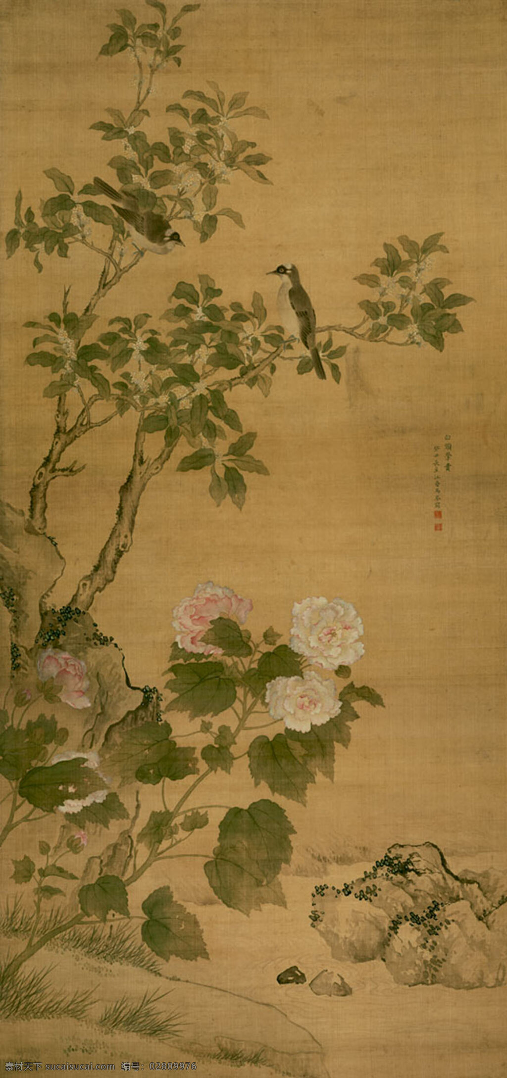 清 马荃 白头荣贵图 艺术品 高仿字画 古代 书画 各大博物馆 古书 画卷 古迹 牛皮纸文字 书法 泛黄古文 甲骨文 中国风素材 文化艺术 传统文化 绘画书法