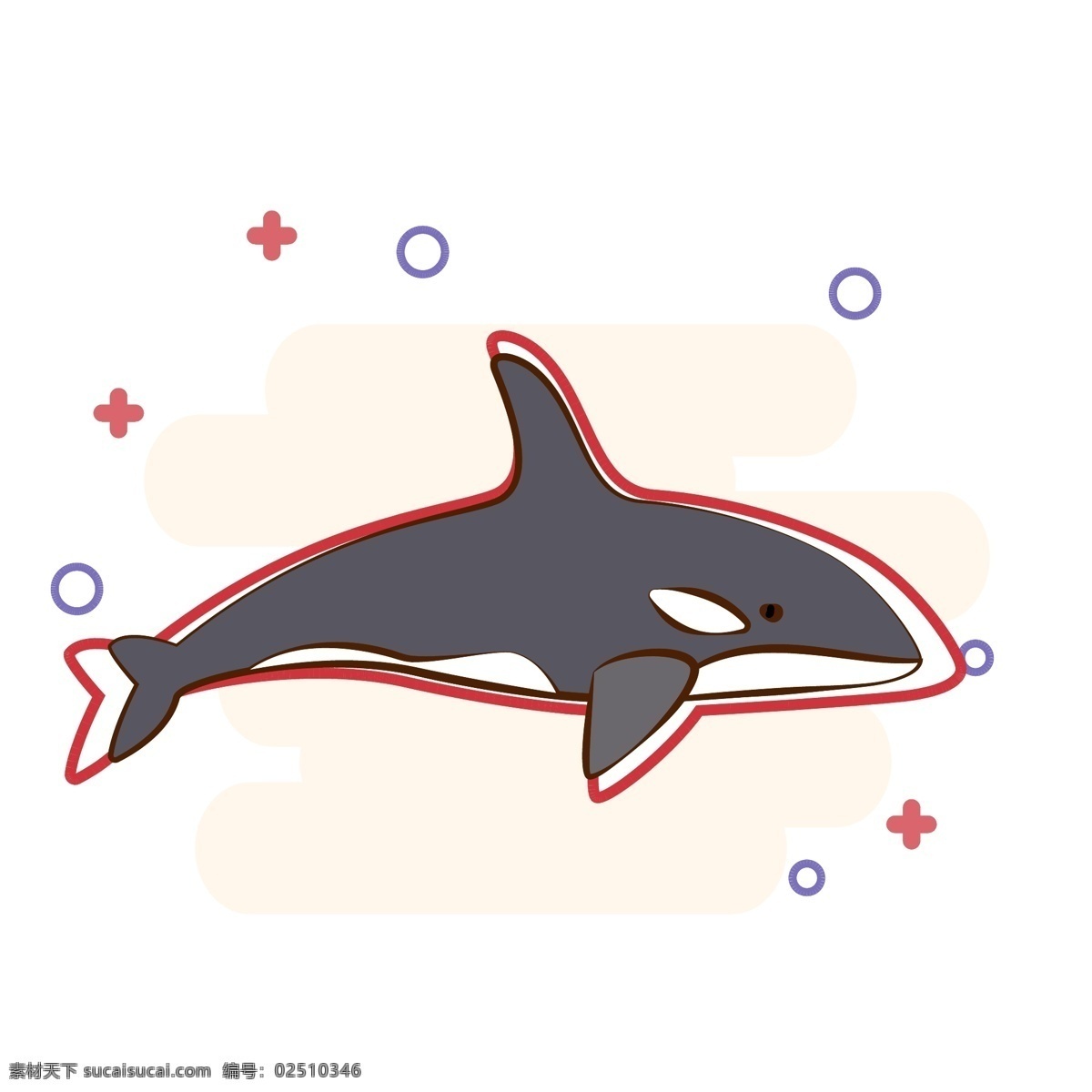 原创 矢量 卡通 虎 鲸 商用 海洋生物 虎鲸 大型动物 可爱