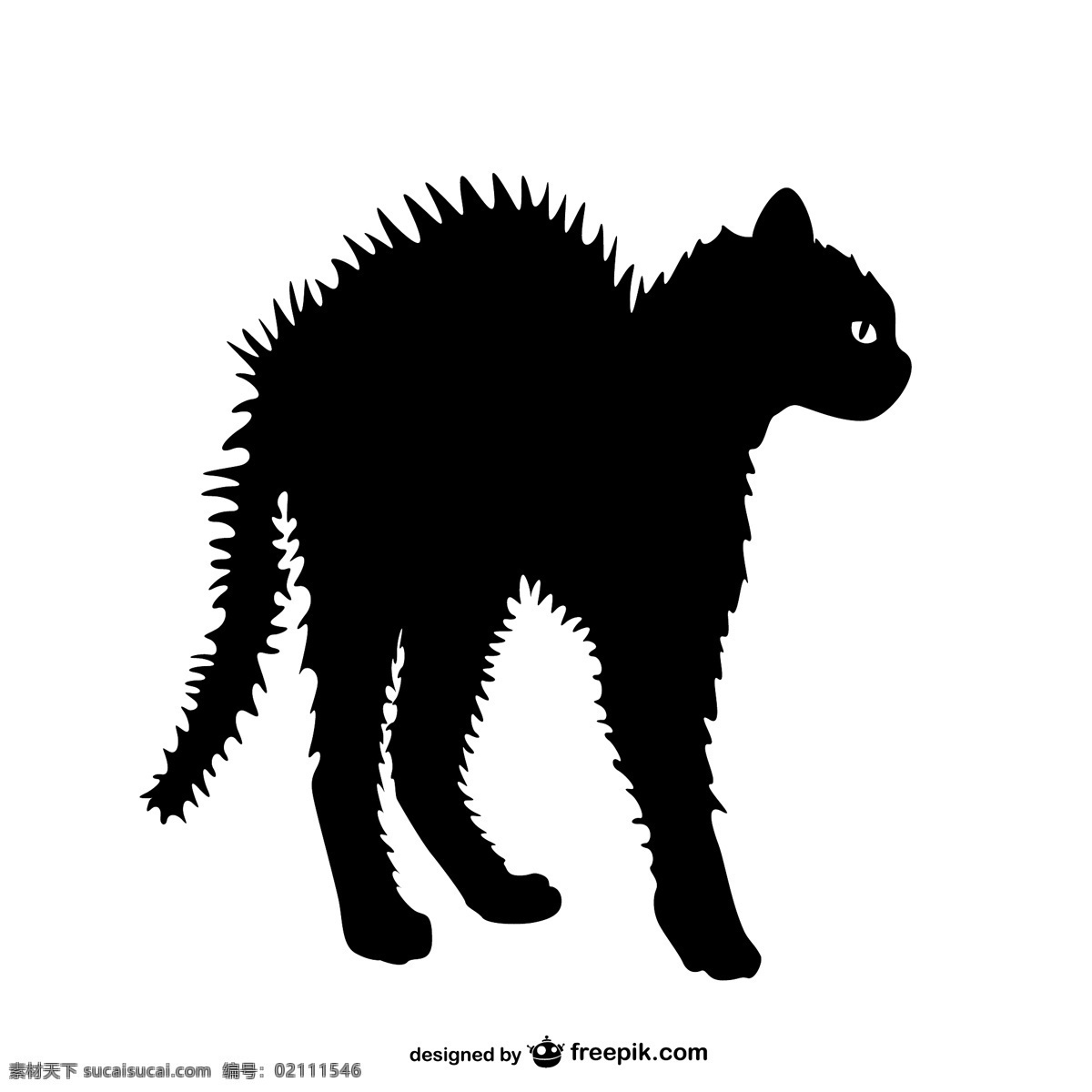 愤怒 猫 剪影 模板 动物 手画 艺术 可爱 图形 轮廓 图形设计 黑色 宠物 绘图 插图 可爱的动物 白色