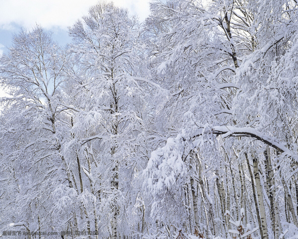 冬天 雪景 背景 冬天雪景 风光 风景 季节 摄影图库 自然 自然风景 自然景观 生活 旅游餐饮