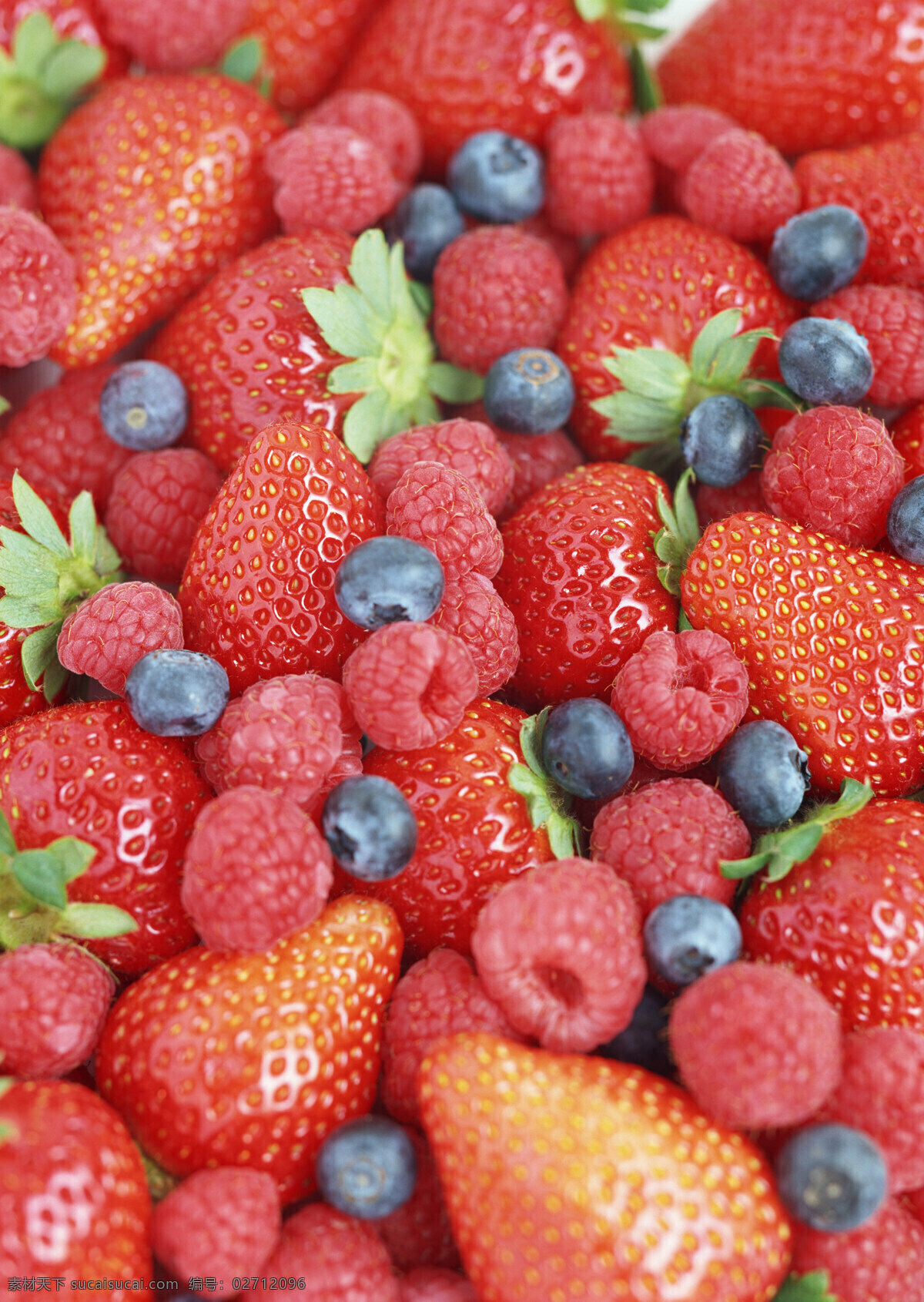 全球 首席 大百科 草莓 点心 糕点 美味 面包 水果 甜点 甜品 生物世界