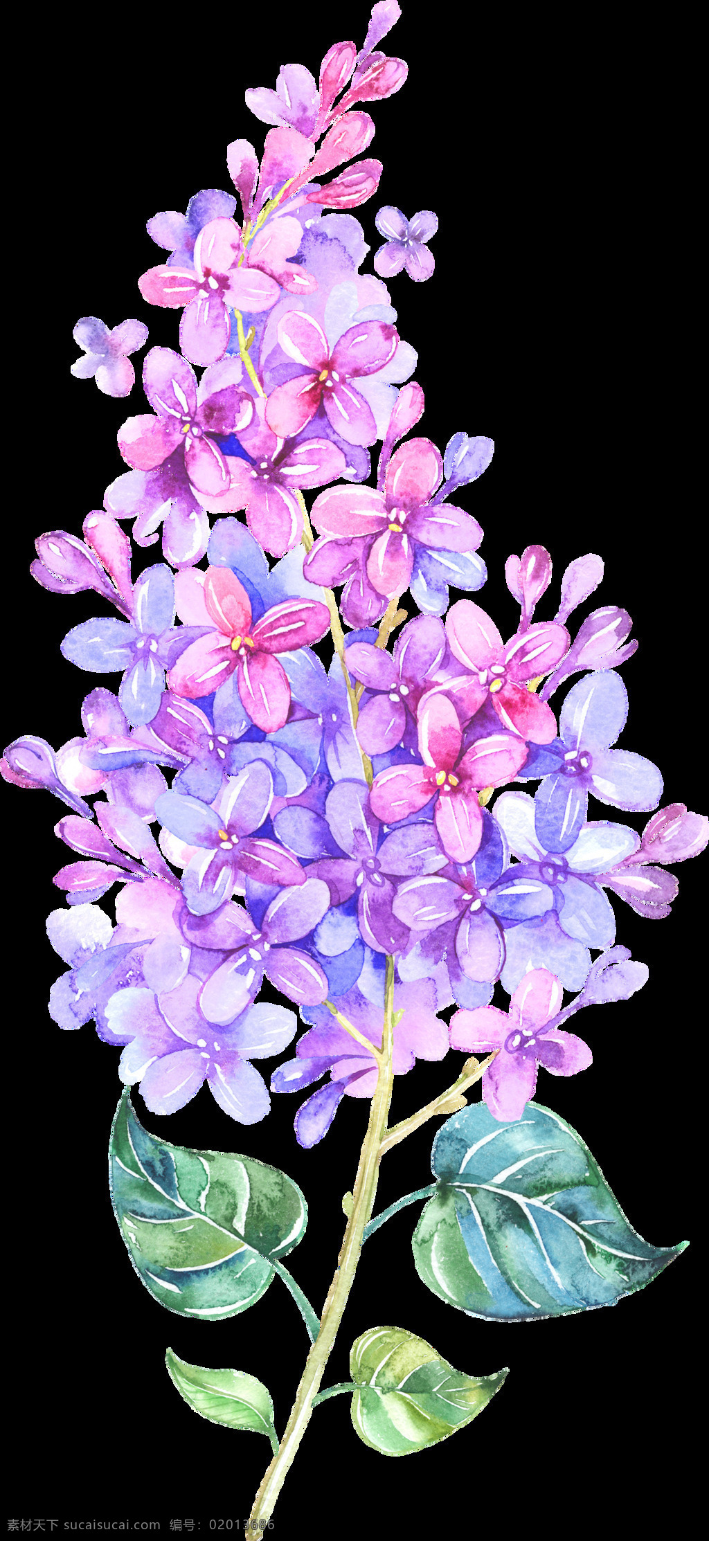 手绘 株 茂盛 鲜花 透明 植物 粉红色 花朵 花枝 绿叶 免扣素材 透明素材 装饰图片