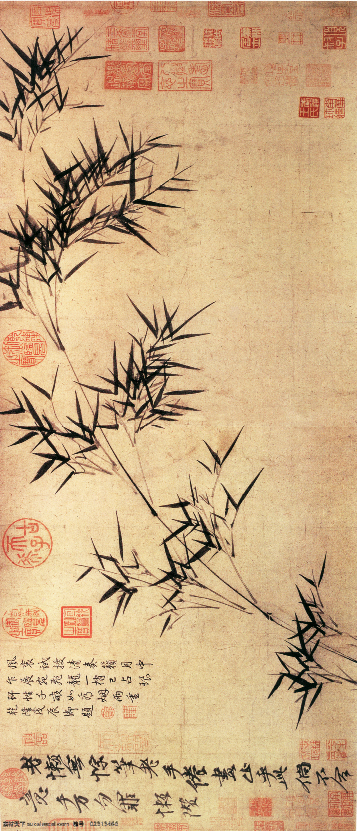 中国 花鸟画 名家 倪 瓒 书画 真迹 竹枝 图 古画 花鸟 书画真迹 竹叶 竹枝图 中国花鸟画 名家倪瓒 卷纸本墨笔 新竹 秃笔 浓墨 笔墨瘦劲苍健 淡墨写枝 笔力劲辣 文化艺术