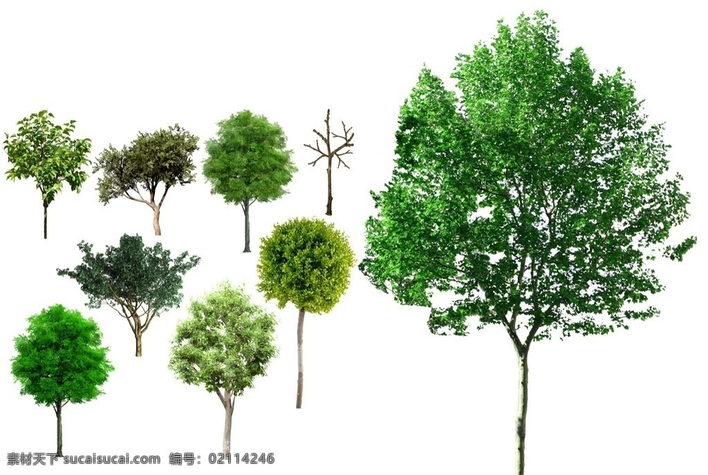 绿色树 树枝 树干 大自然 植物 分层 源文件