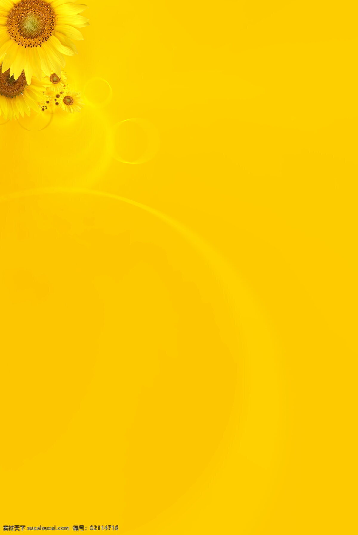 黄色背景 向日葵背景 花朵背景 花朵边框 黄色展板背景 黄色展板底图 黄色展板底纹 黄色底纹 背景底纹