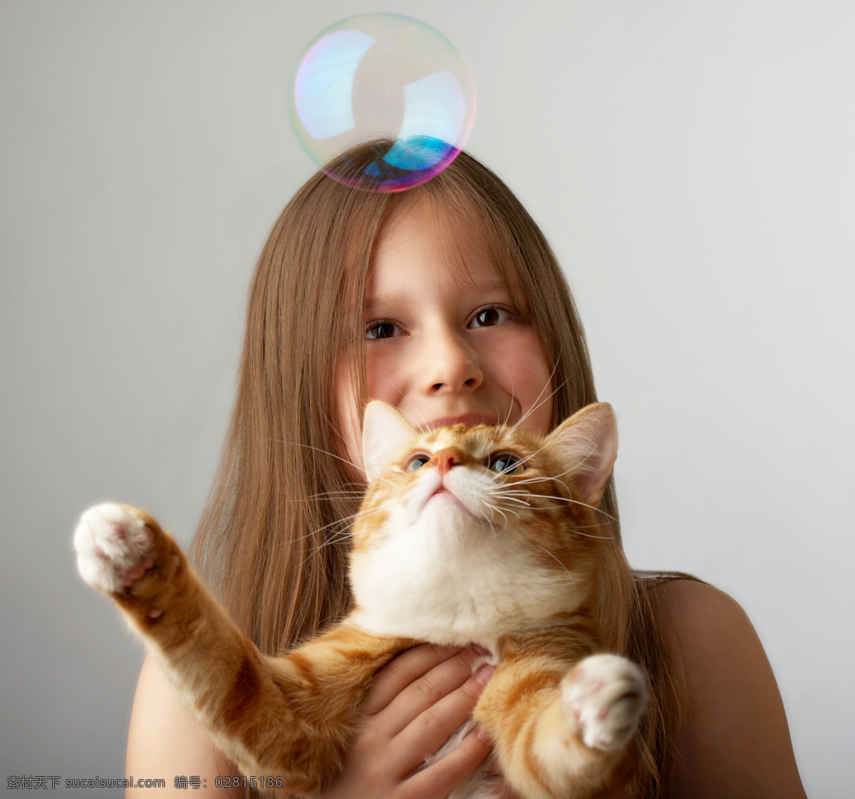 抱 小猫 女孩 抱着 家庭 生活 生活人物 人物图片