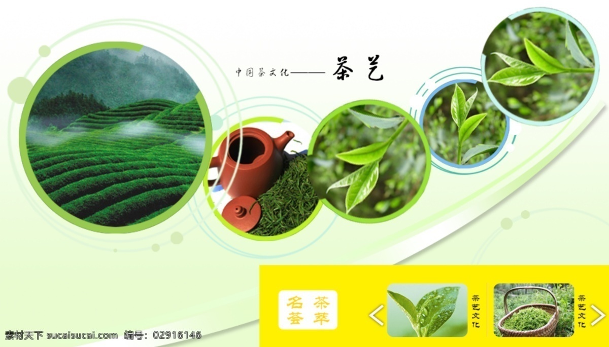 绿色 茶叶网站 banner 清新 白色