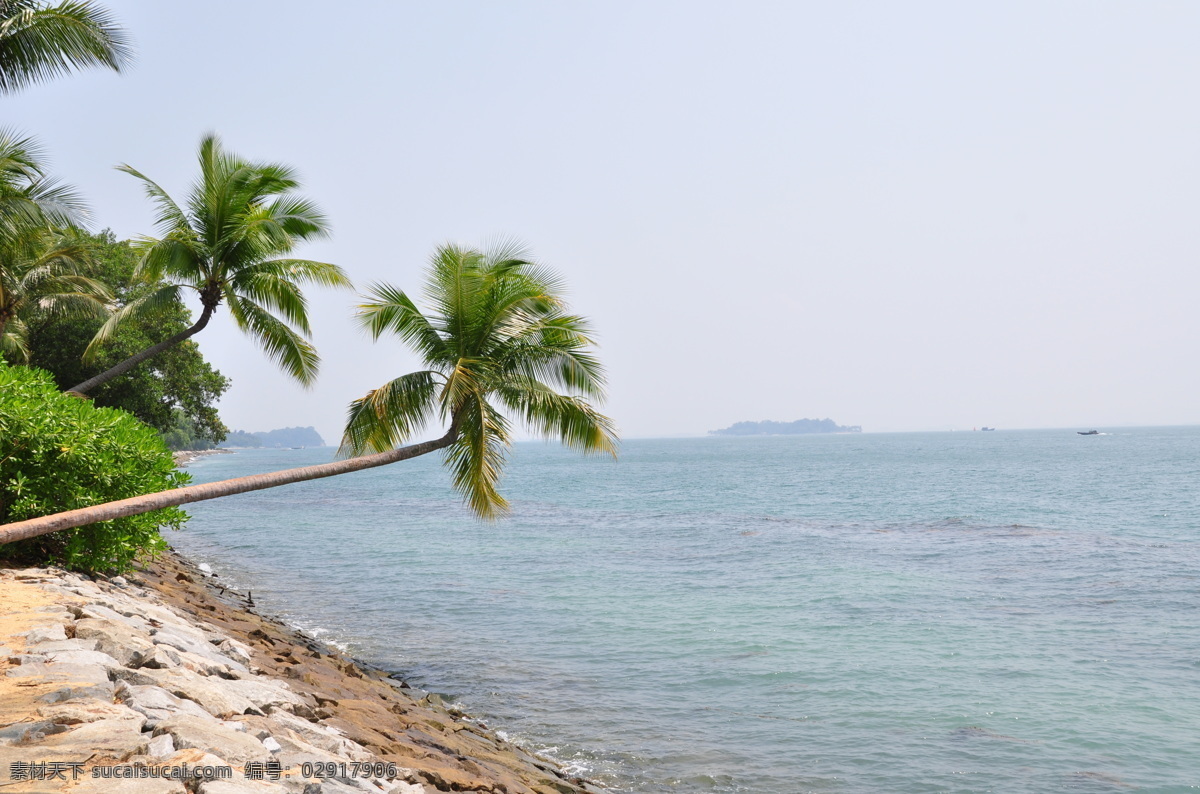 海滩 旅游摄影 新加坡 自然风景 自然景观 圣淘沙 新加坡所见拍 psd源文件