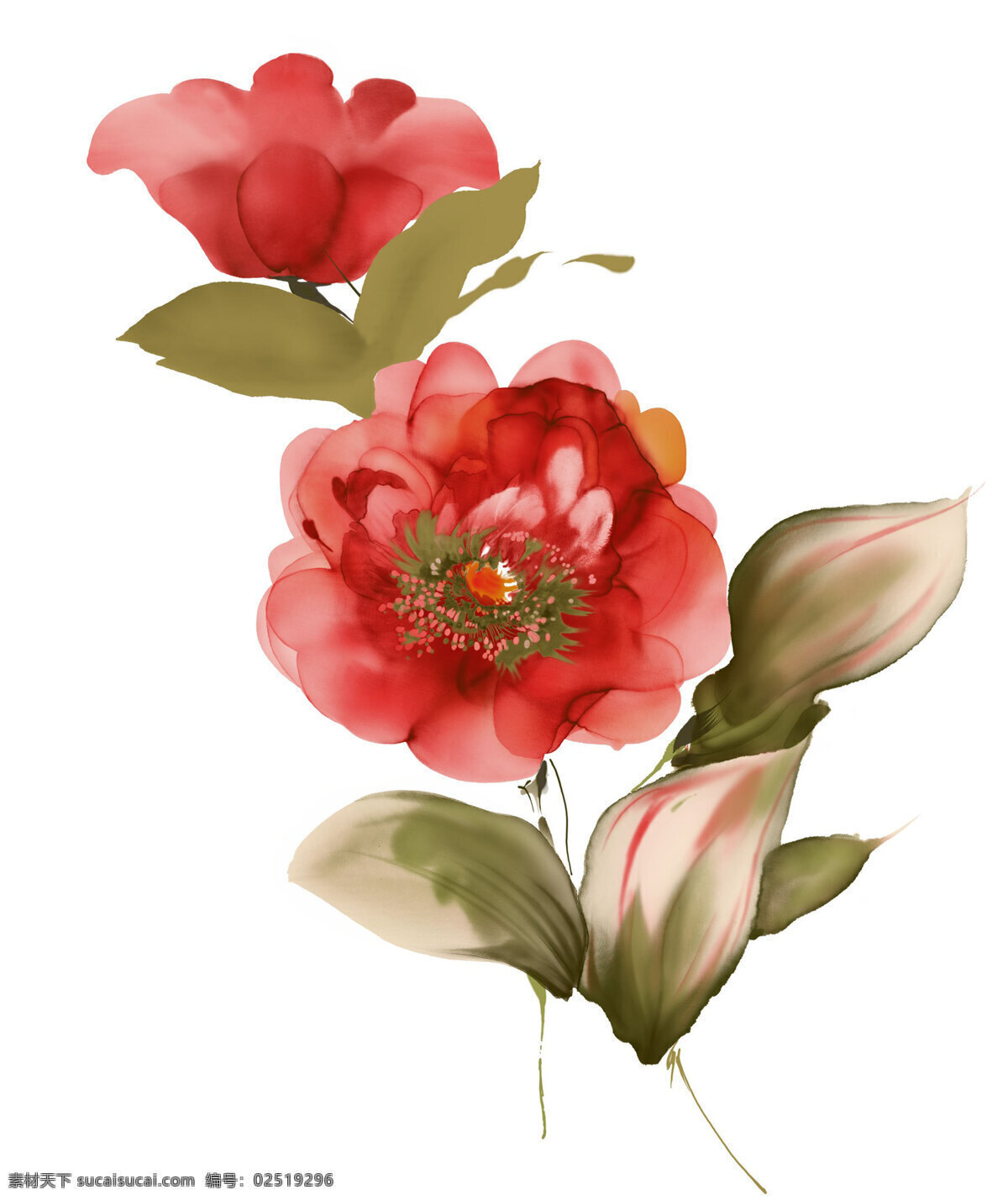 水墨花图片 水墨植物 水彩花草 水彩花卉 水墨画花卉 水墨画花草 国画花草 花草国画 黑白水墨 彩色水墨 写意花草 烟雨花草 花草花卉 写意花卉 花卉写意 花卉写意画 花草写意画 写意画花草 水彩画 水墨画 墨水画 美术 画画 写意画 工笔画 美术画 国画 线条画 花草特写 花卉特写 水墨花草 水墨花卉 花卉 水墨怡情 文化艺术 美术绘画