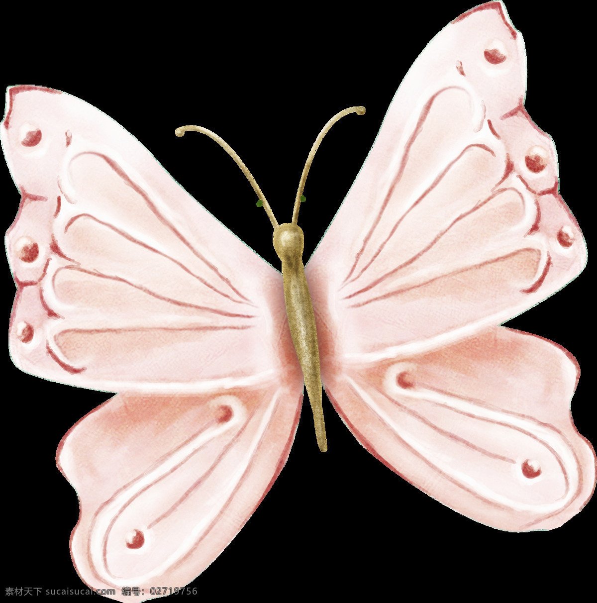 粉色 飞舞 花 蝴蝶 温馨 昆虫 绘画 插画 装饰 图案
