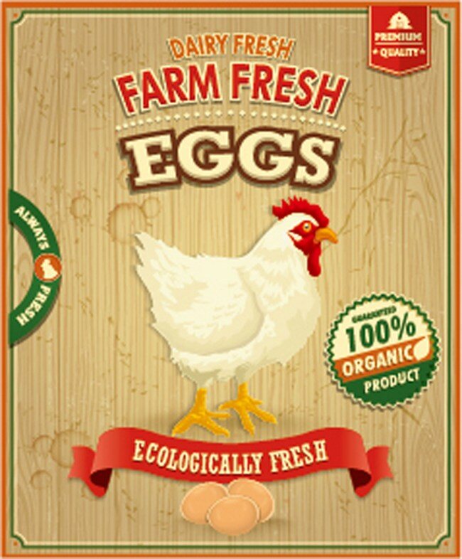 农场 新鲜 食品 海报 矢量图 广告背景 背景素材 广告 背景 素材免费下载 鸡蛋 母鸡