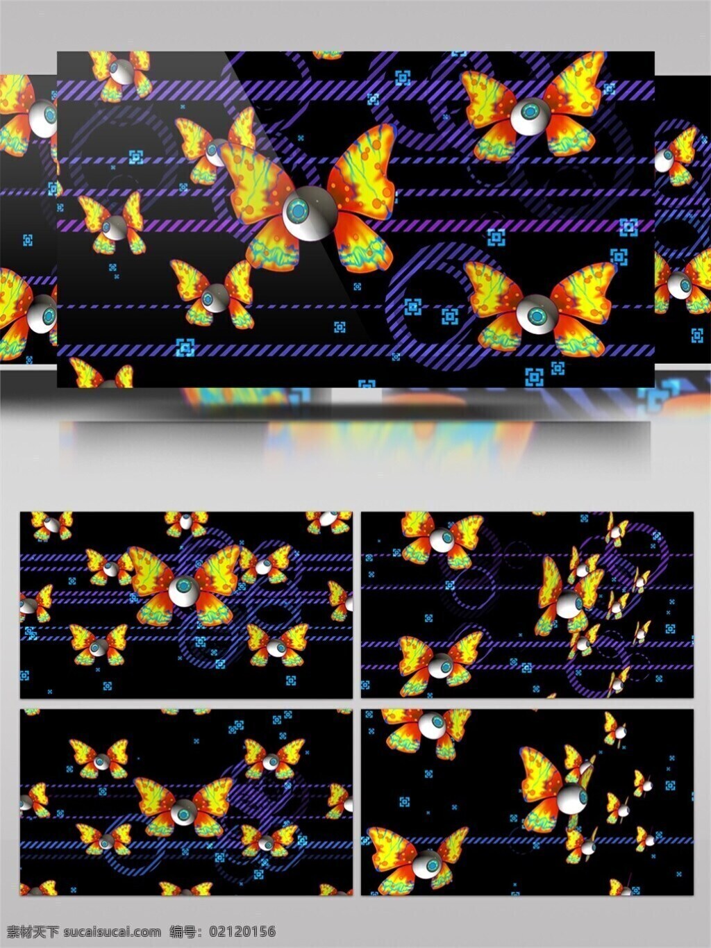 蝴蝶 振 翅 动态 视频 眼球 翅膀 振动 3d 视频素材 动态视频素材