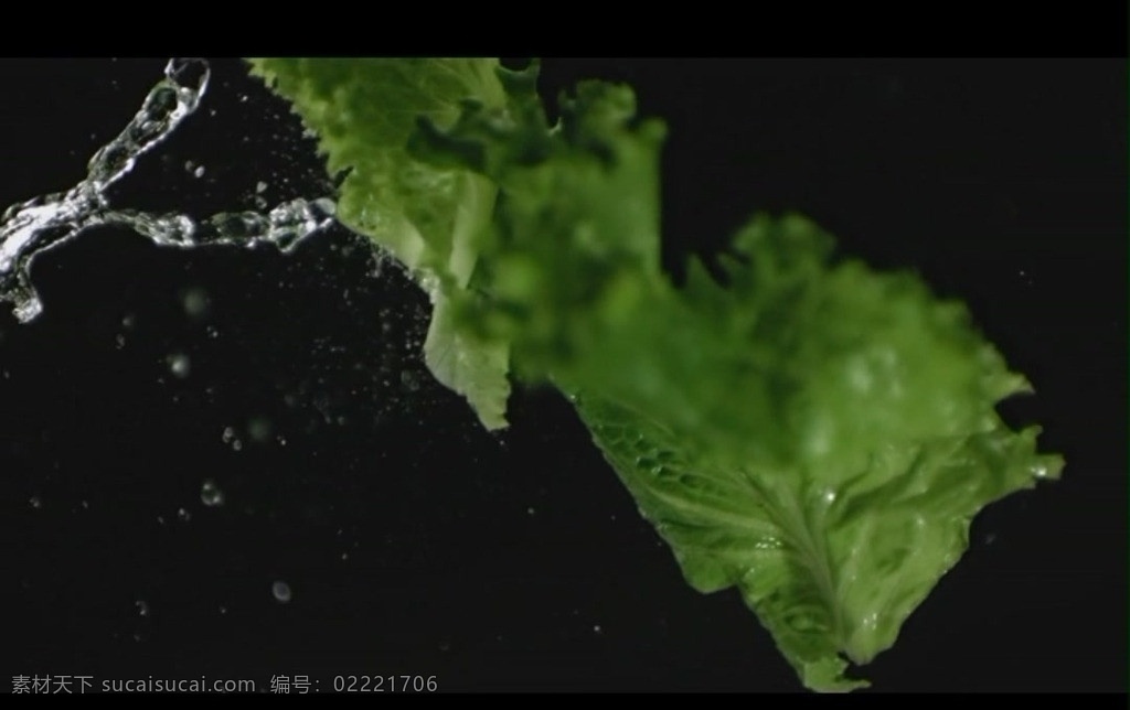 水珠 水滴 视频 水滴视频素材 蔬菜 背景 溅 视频素材 多媒体设计 源文件 mov