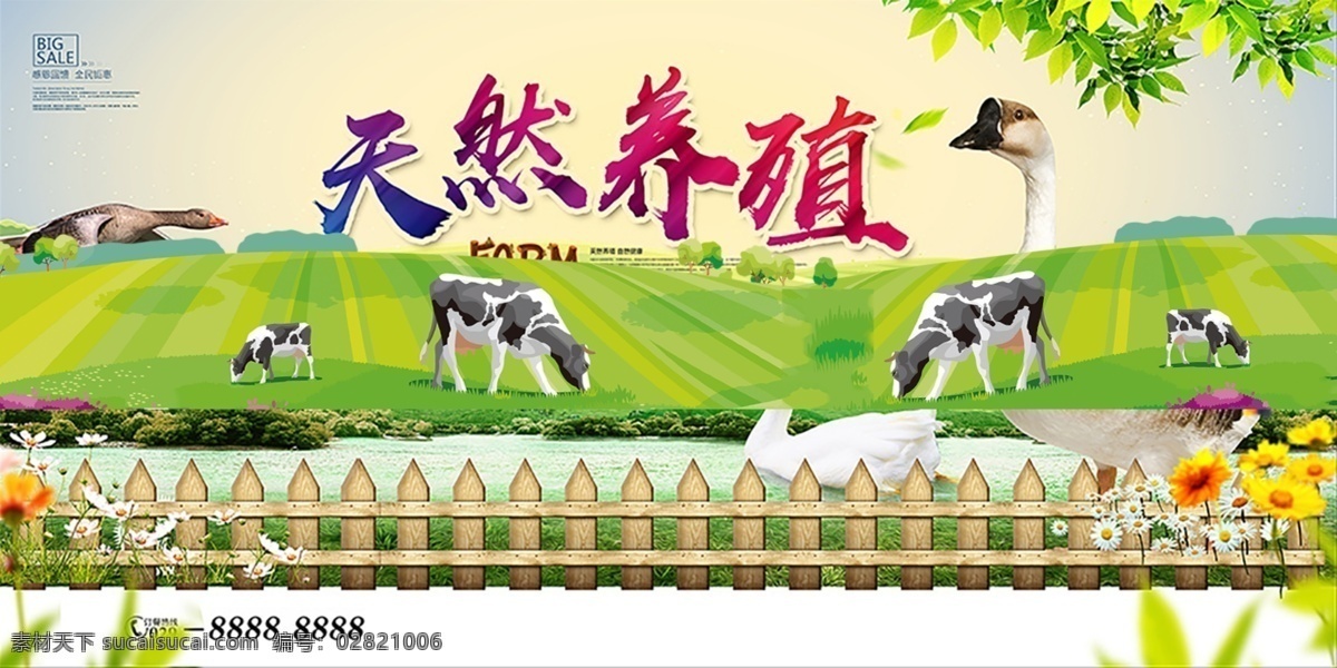 天然养殖 鹅广告 海报 墙画 鹅