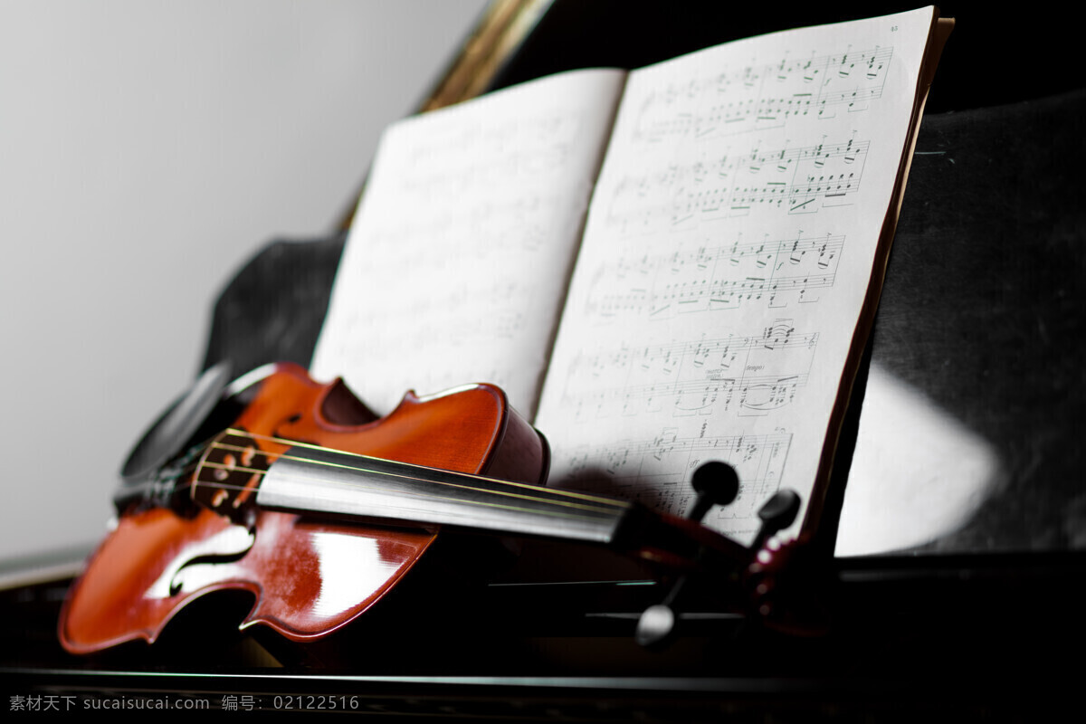 乐谱 小提琴 音乐器材 乐器 西洋乐器 影音娱乐 生活百科
