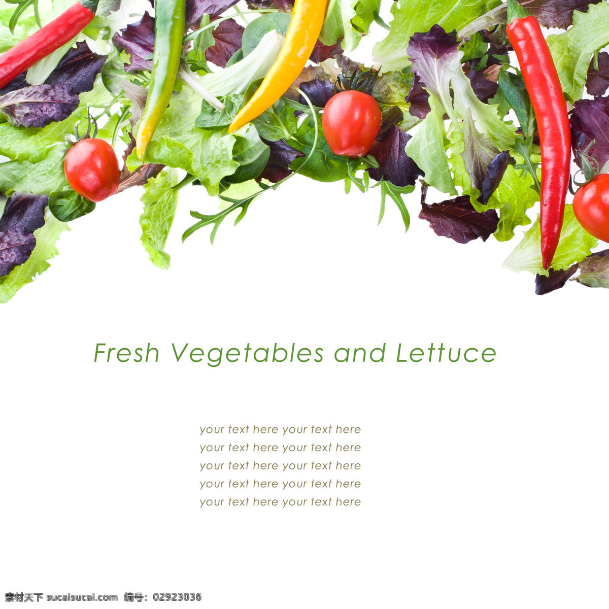 新鲜蔬菜背景 辣椒 番茄 菜叶子 蔬菜背景 西红柿 新鲜蔬菜 水果蔬菜 餐饮美食 白色