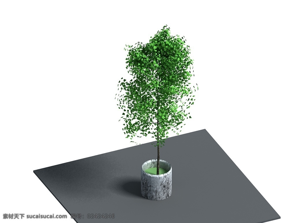 绿色 简约 室内 盆栽 绿色盆栽 混凝土盆 白底 3d模型