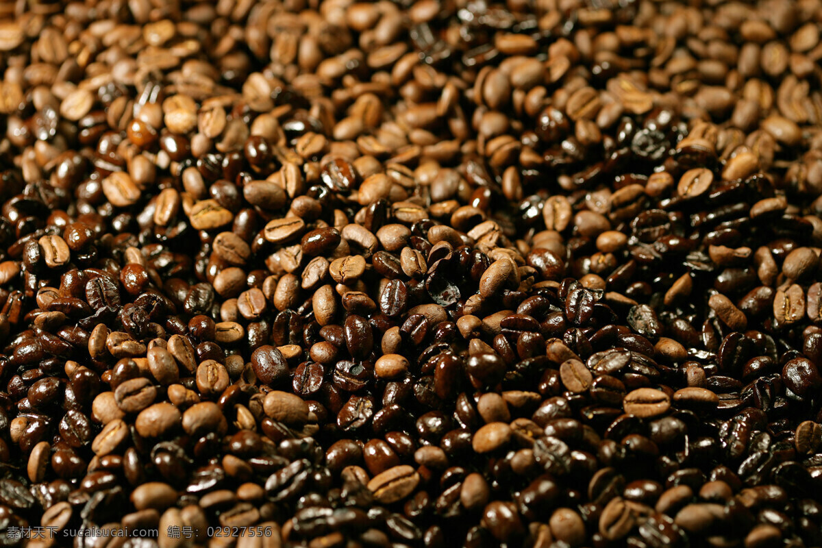 堆 颗粒 饱满 咖啡豆 很多 一堆 褐色 灰色 咖啡馆 酒吧 咖啡文化 西方文化 高清图片 咖啡图片 餐饮美食
