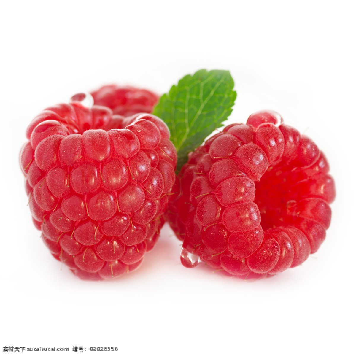 草莓 野果 悬钩子 覆盆子 覆盆莓 树梅 树莓 野莓 水果 新鲜水果 水果蔬菜 餐饮美食 白色