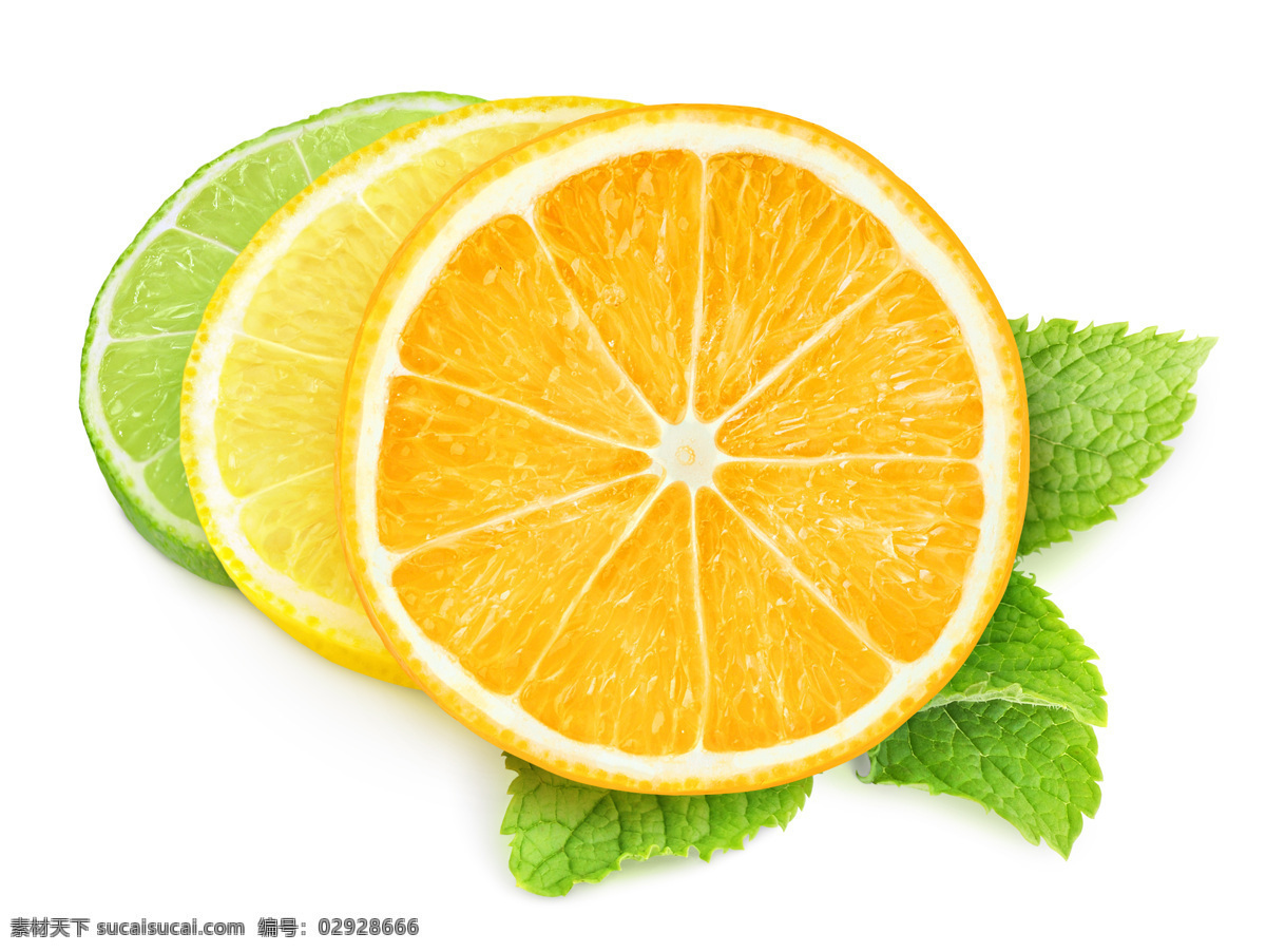 柠檬片 柠檬 切片 绿叶 叶子 青柠檬 青柠 黄柠檬 黄柠 新鲜 多汁 水果 果蔬 清爽 爽口 去味 水果蔬菜 生物世界