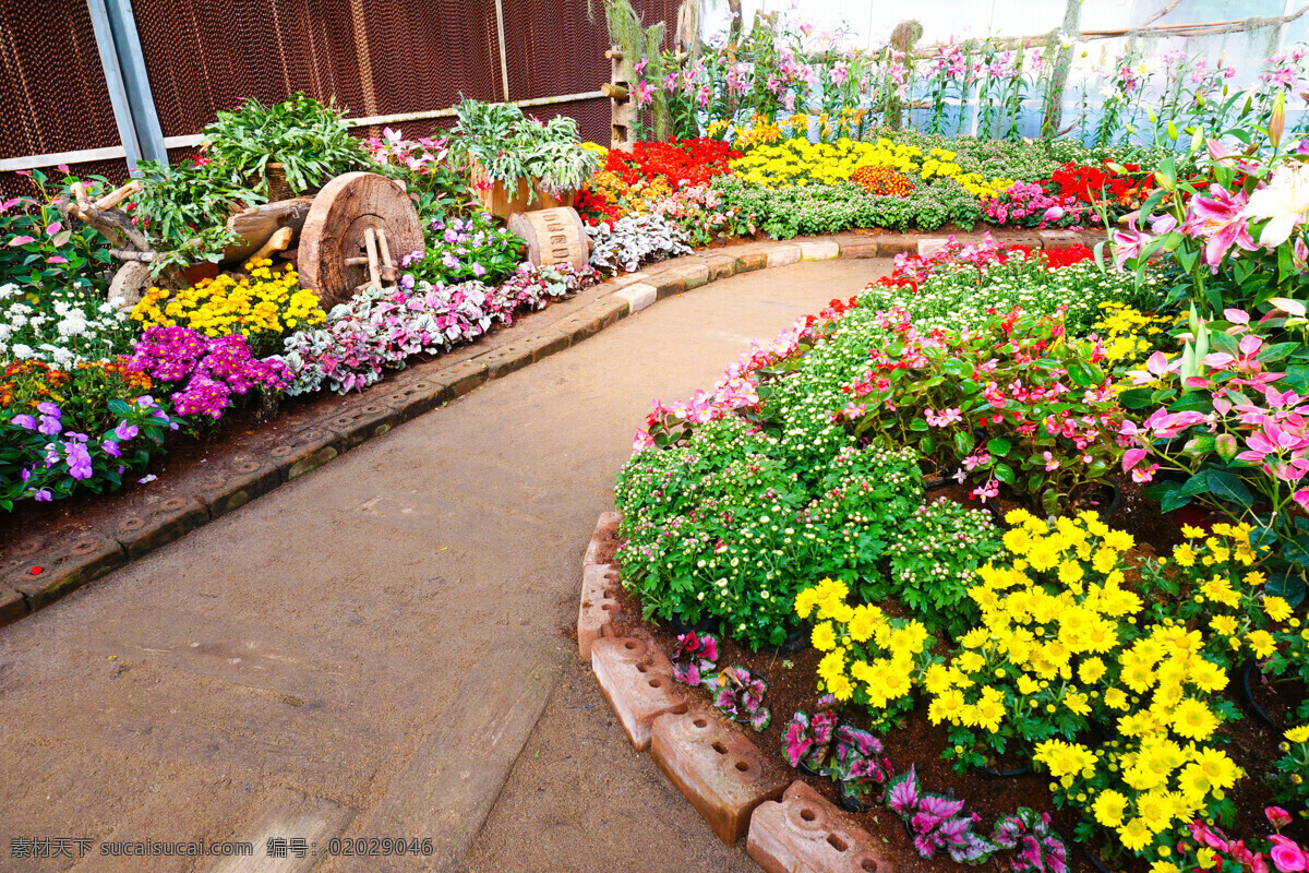 开 满 鲜花 花园 园林 绿化 花朵 花卉 植物 自然风景 园林景观 环境家居