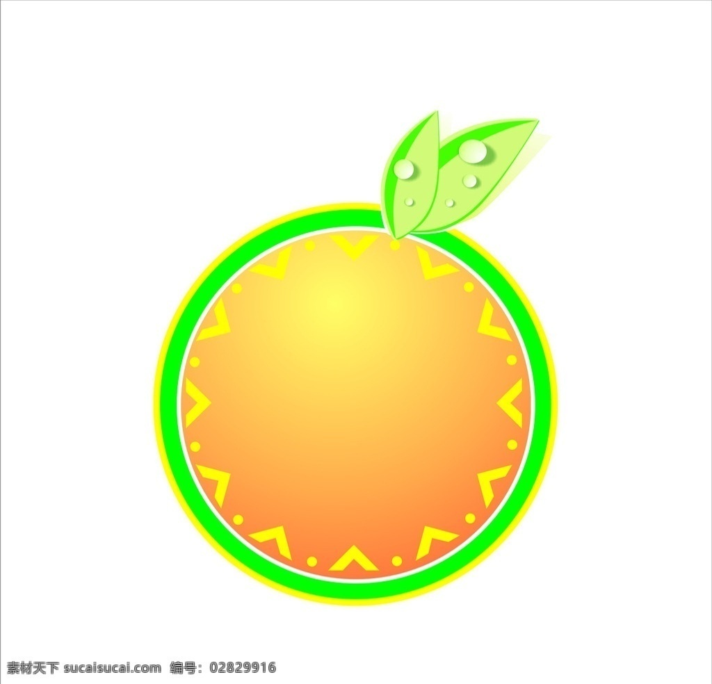 橙子 橘子 桔子 矢量图 水果 果蔬素材 生物世界