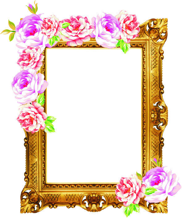 金色 相框 玫瑰 花边 画框水牌 金色相框 玫瑰花 矢量图 白色