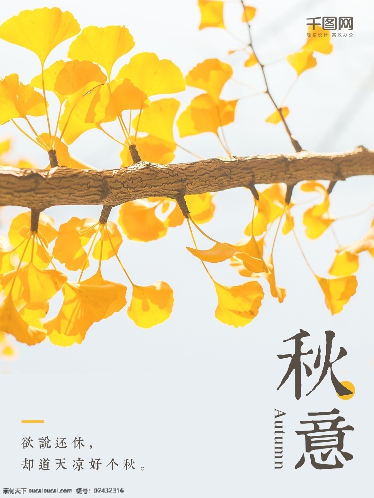 唯美 清新 秋天 银杏叶 黄色 微 信 配 图 你好八月 秋天你好 夏季促销 秋天促销 清新海报 小 促销 海报 相约八月 月份 鲜花 文艺 微信配图